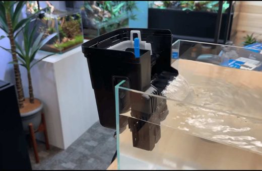 Aquarium filter with mechanical, biological, and chemical filtration media