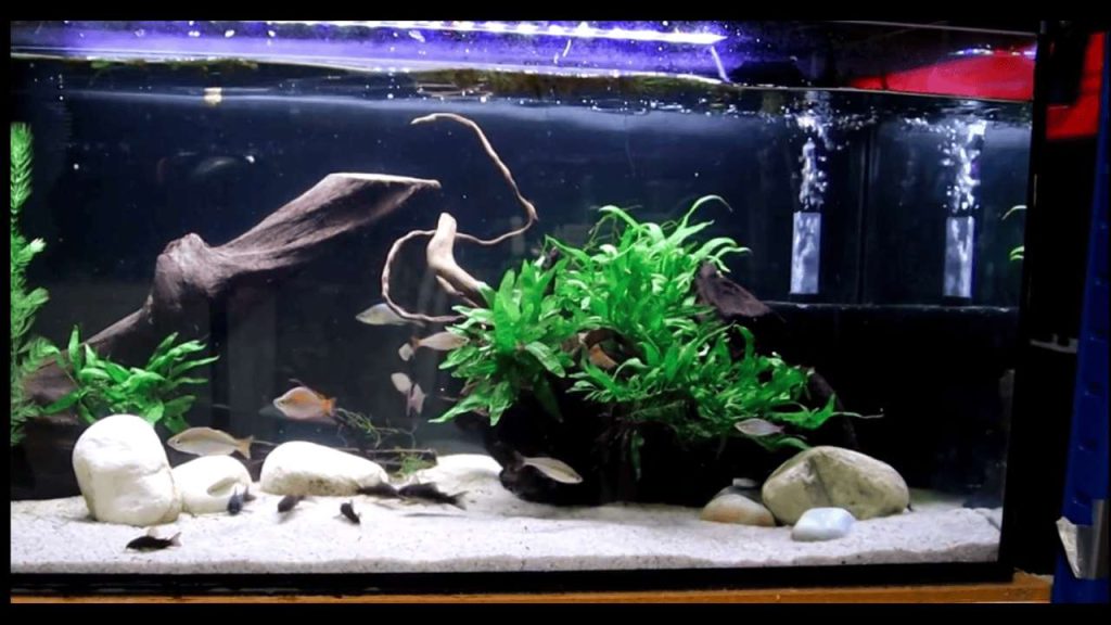 Maintenance, Troubleshooting, and Lifespan