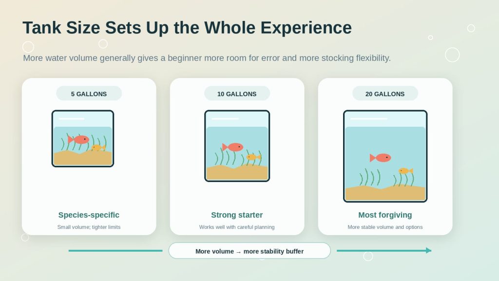 Image guide showing the differences between smaller aquariums versus larger starter aquariums in terms of durability, adaptability, and ease of maintenance