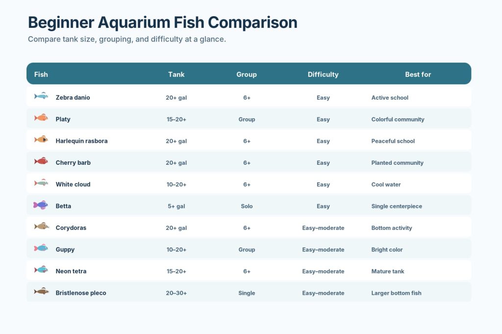 A beginner fish comparison infographic that compares fish in terms of the needed tank size, difficulties, social needs of fish, and their care requirements.
