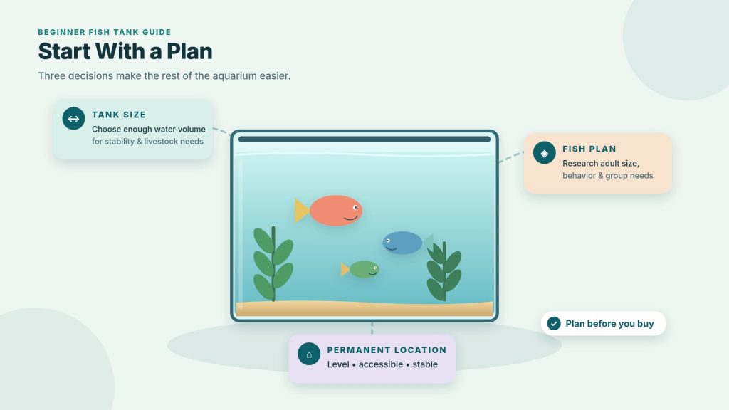 Beginner aquarium planning infographic outlining the tank size, fish, equipment, and proper aquarium location.