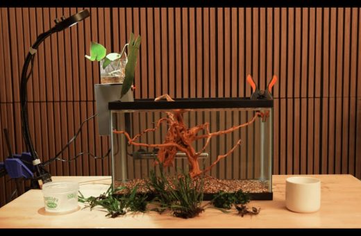 An aquarium startup kit containing a fish tank, filter, heater, light, water tester kit, and required equipment.