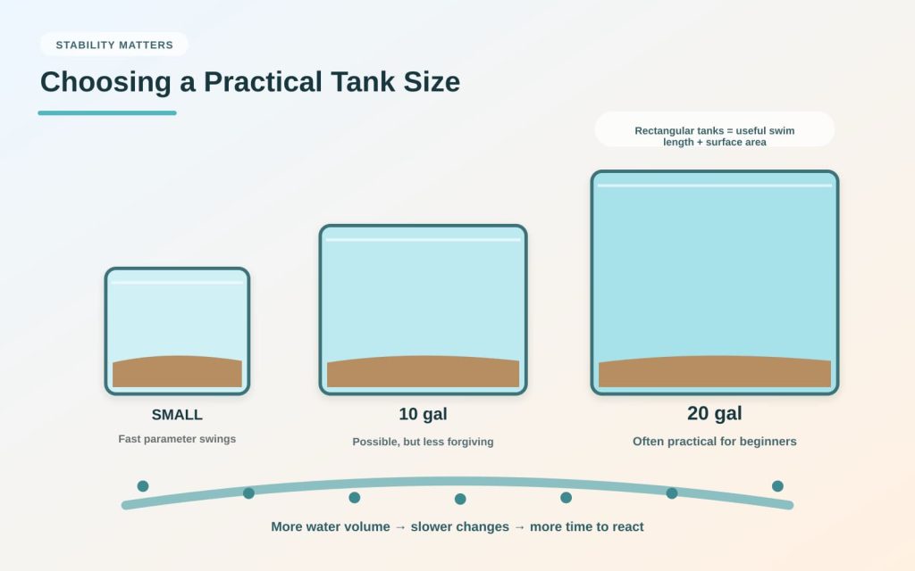 Freshwater fish tank size infographic demonstrating the differences between small aquariums, including 10 and 20 gallons, highlighting the idea that bigger tanks will have better performance regarding water stability.