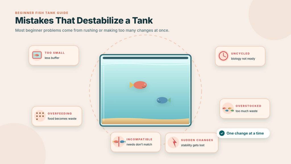 Typical aquarium mistakes that beginners make, which are keeping small tanks, overfilling, overpopulating, having unfitting fish, and making consequential changes.