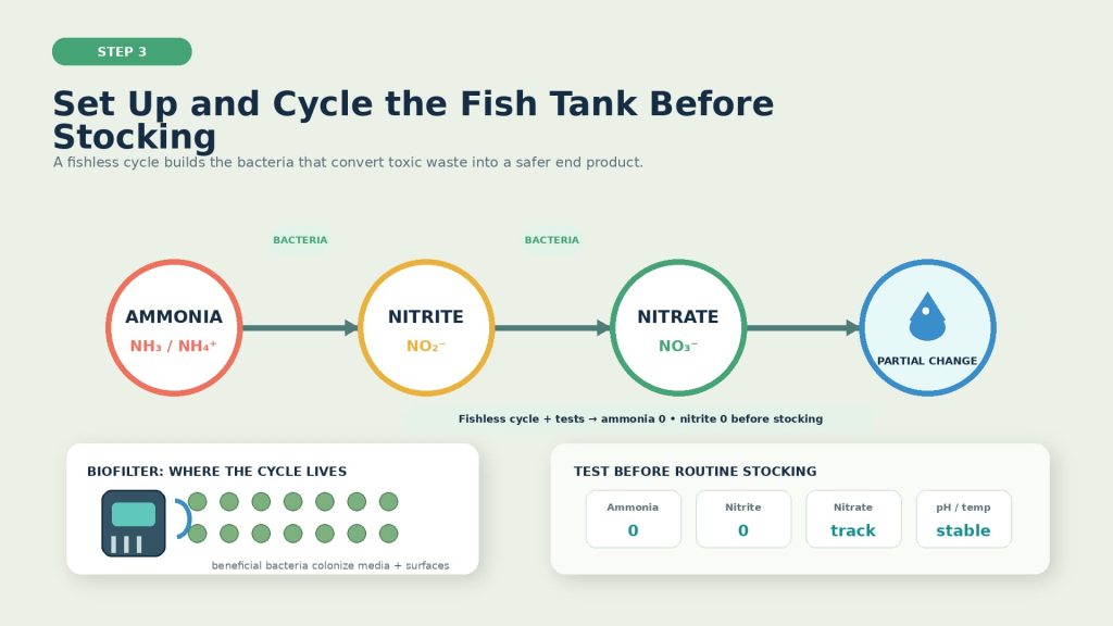 Image showing the nitrogen cycle in the aquarium, including components such as ammonia, nitrite, nitrate, beneficial bacteria, filtration, and water testing before the fishes are added