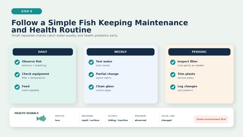 Image on aquarium maintenance routines, including daily fish monitoring, weekly water testing and water changes, filter monitoring, plant maintenance, and health monitoring