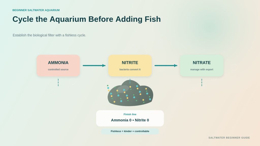 A nitrogen cycle in a saltwater aquarium that includes ammonia, nitrites, nitrates, beneficial bacteria, and fishless cycling stages.