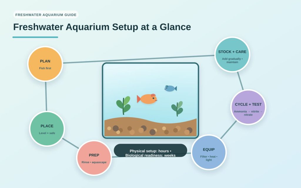 An introduction to the clean and easy process of setting up a beginner's freshwater aquarium.