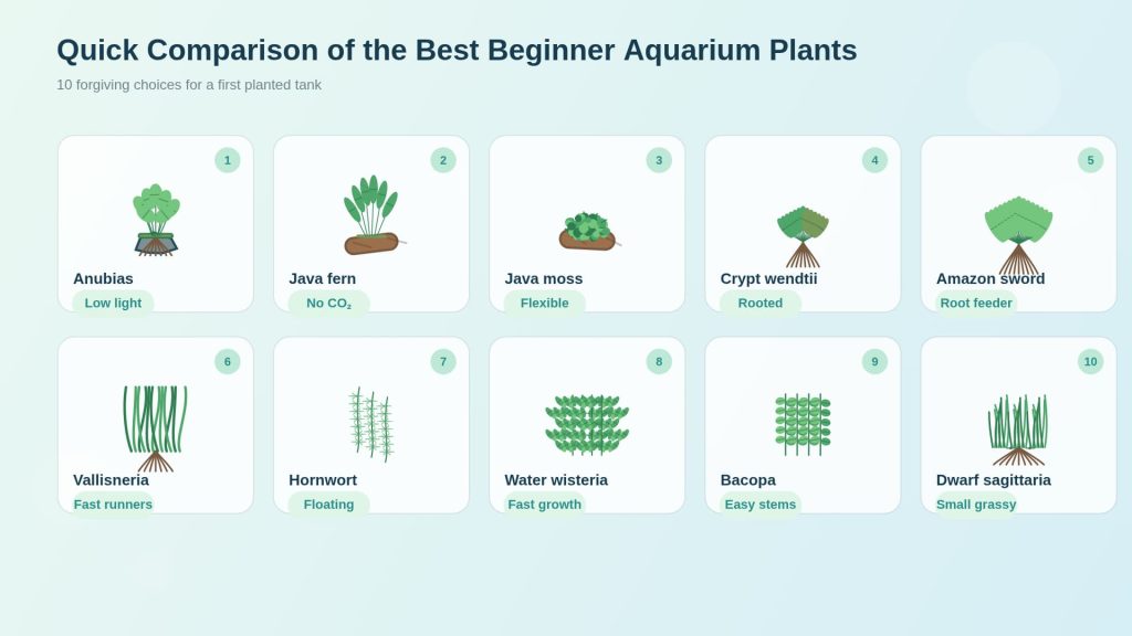 Illustrated comparison of the 10 best beginner aquarium plants based on light requirements, growth rate, and caring level.