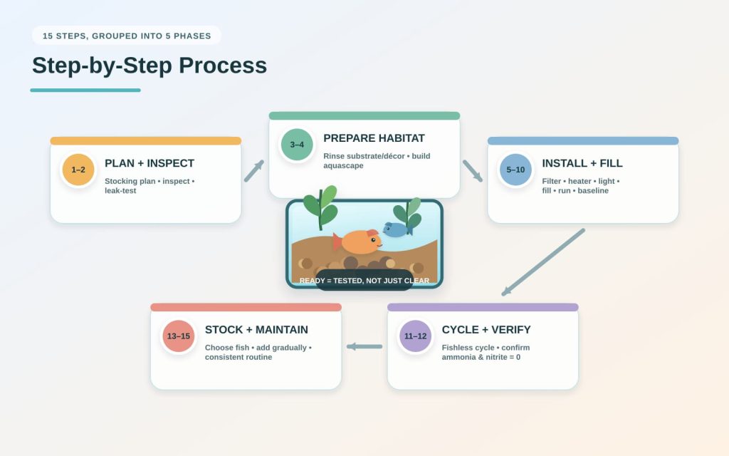 Freshwater aquarium setup steps from planning and habitat design to filling the tank, skipping fish, and keeping the aquarium.